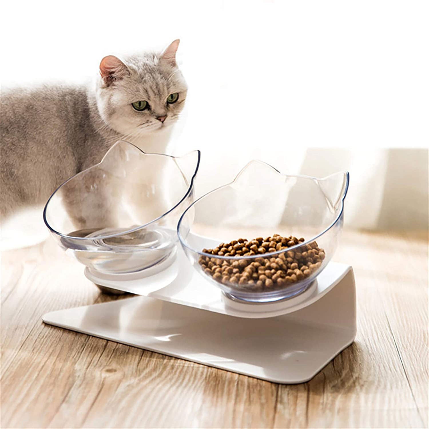 Feeding collection featuring pet food and water essentials for dogs and cats