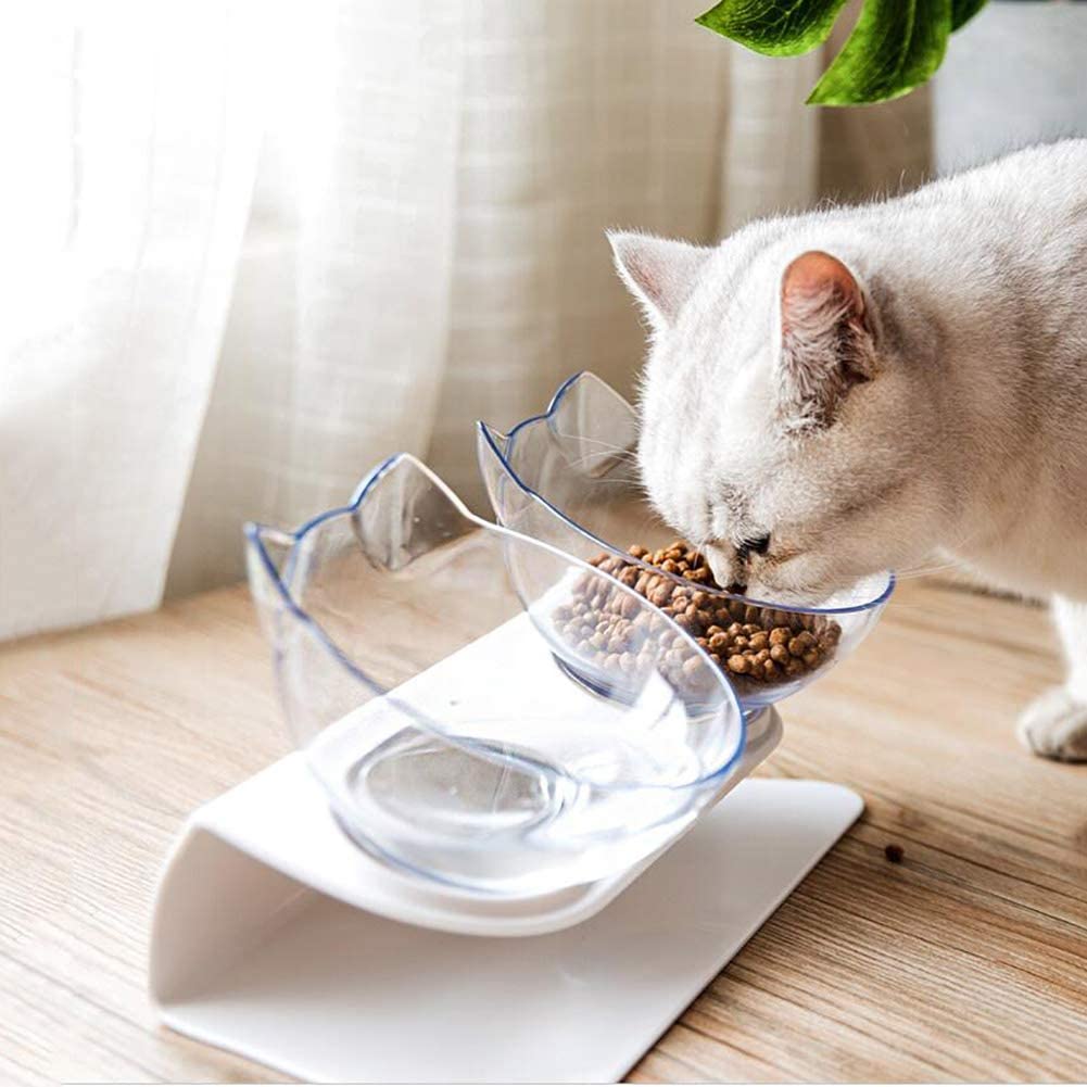 Cat eating comfortably from a raised feeding bowl
