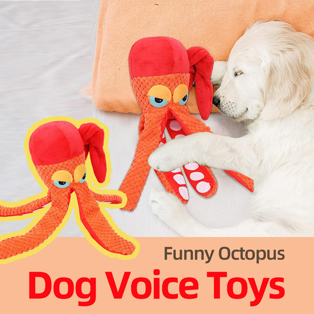 Dog playing tug-of-war with orange plush octopus squeaky toy tentacles
